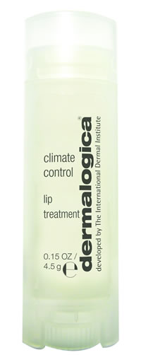 Dermalogica Climate Control Lip Treatment available from Pure Beauty Online