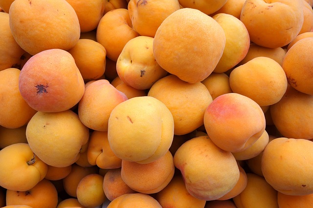 Harnessing the Power of Apricots