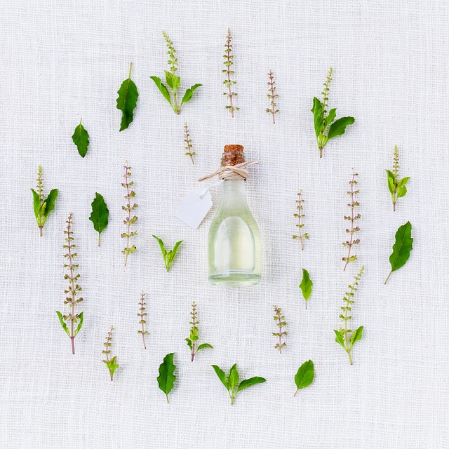 Ingredient Focus: Tea Tree Oil