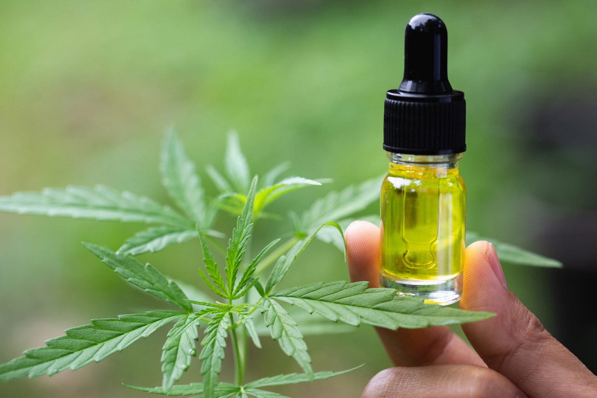 CBD – what is it, and how to use it